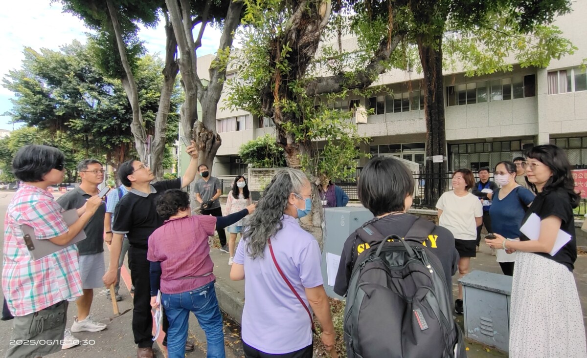 ▲人行道改善工程,主動邀集地方學校、居民、護樹團體及專家進行樹木健診與現勘。(圖/中市府提供)