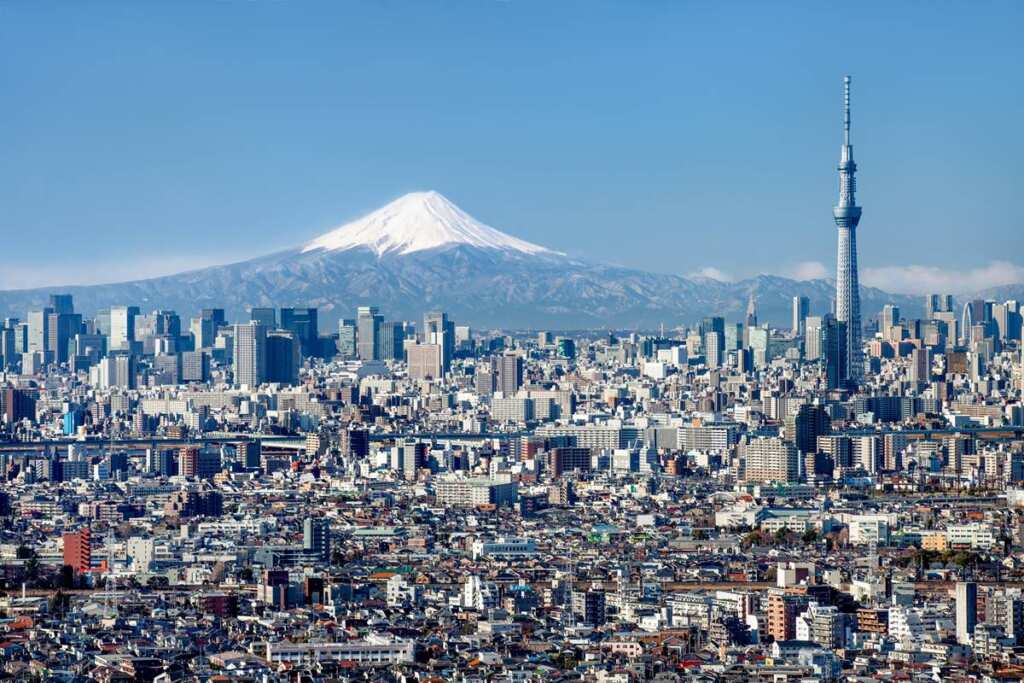 ▲「跟團半自助」旅遊夯!可樂旅遊銷售成長4成,星宇玩美西36,888元起,越南峴港13,888元起。(可樂旅遊提供)