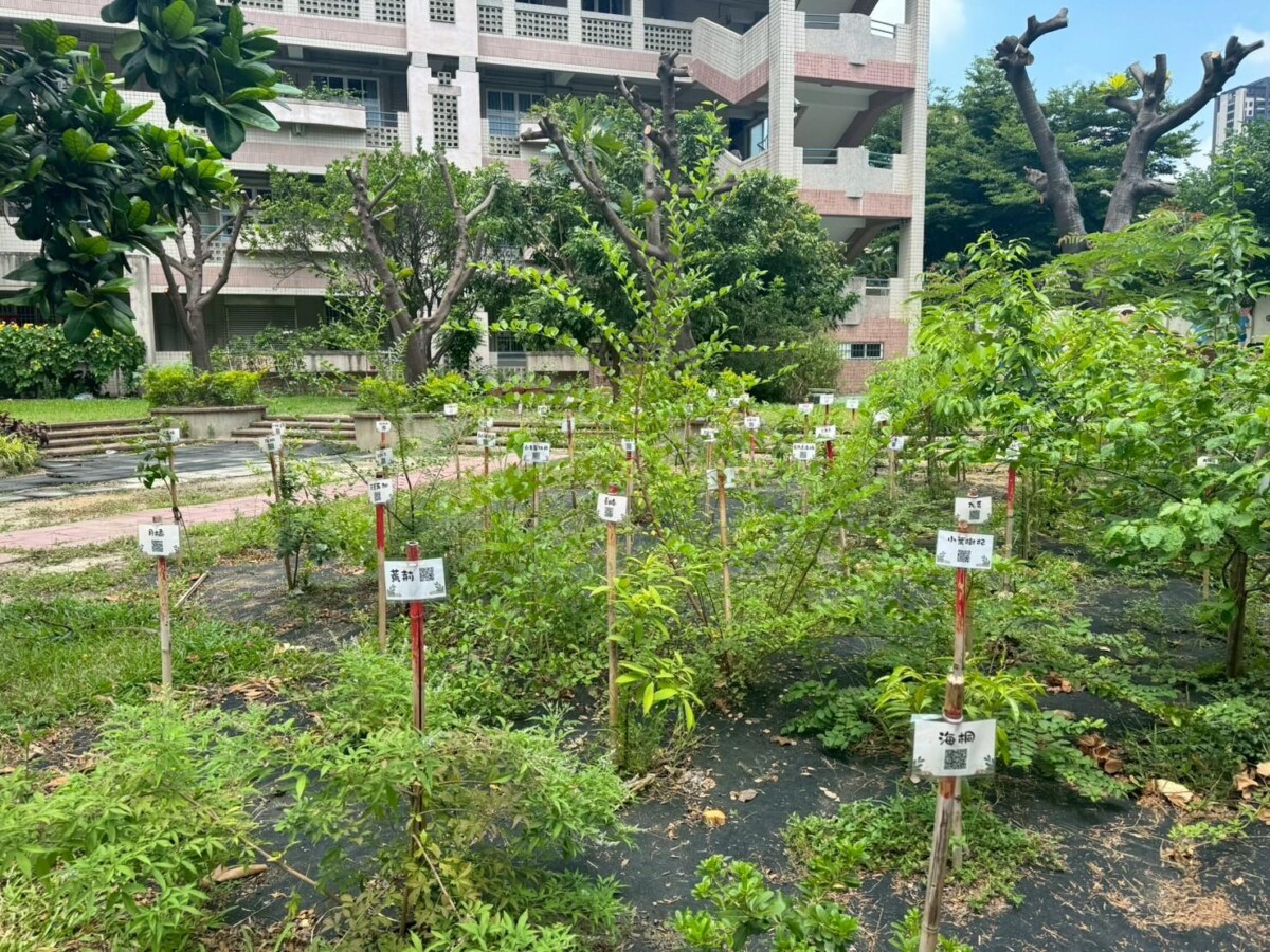 從樹苗到森林　台中市教師共同打造淨零綠校園藍圖