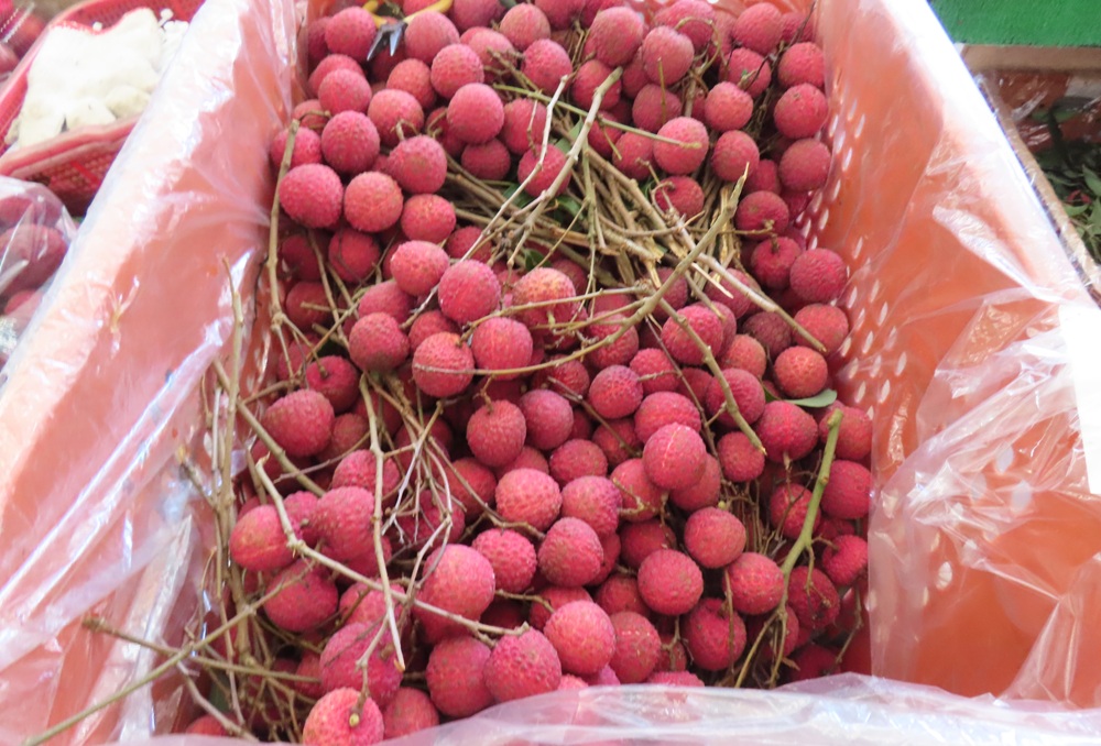 新北抽驗中元節應景食品97件 桂味荔枝檢出農藥殘留 209 cnews204250826a01