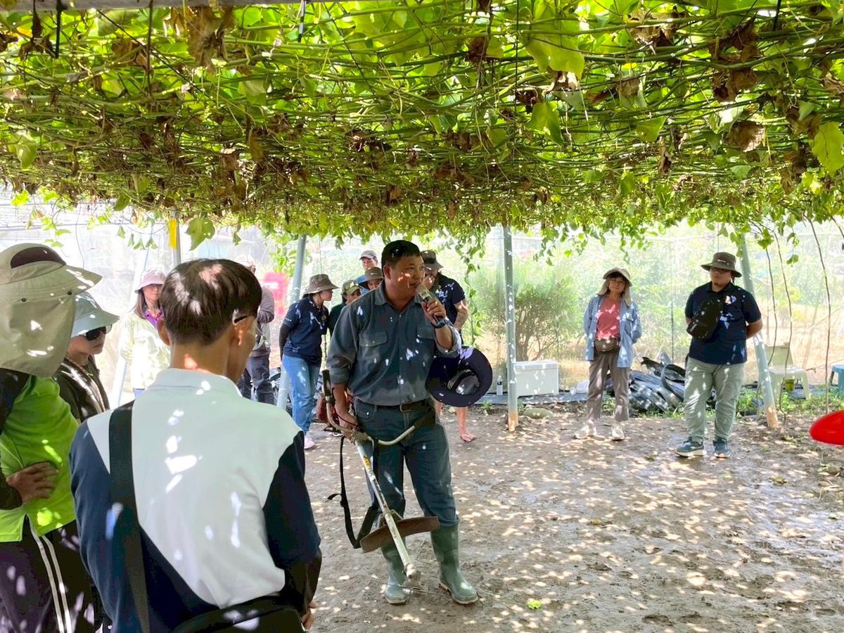 高雄農業局推動百香果去藤觀摩實機上陣　採後清園輕鬆上手