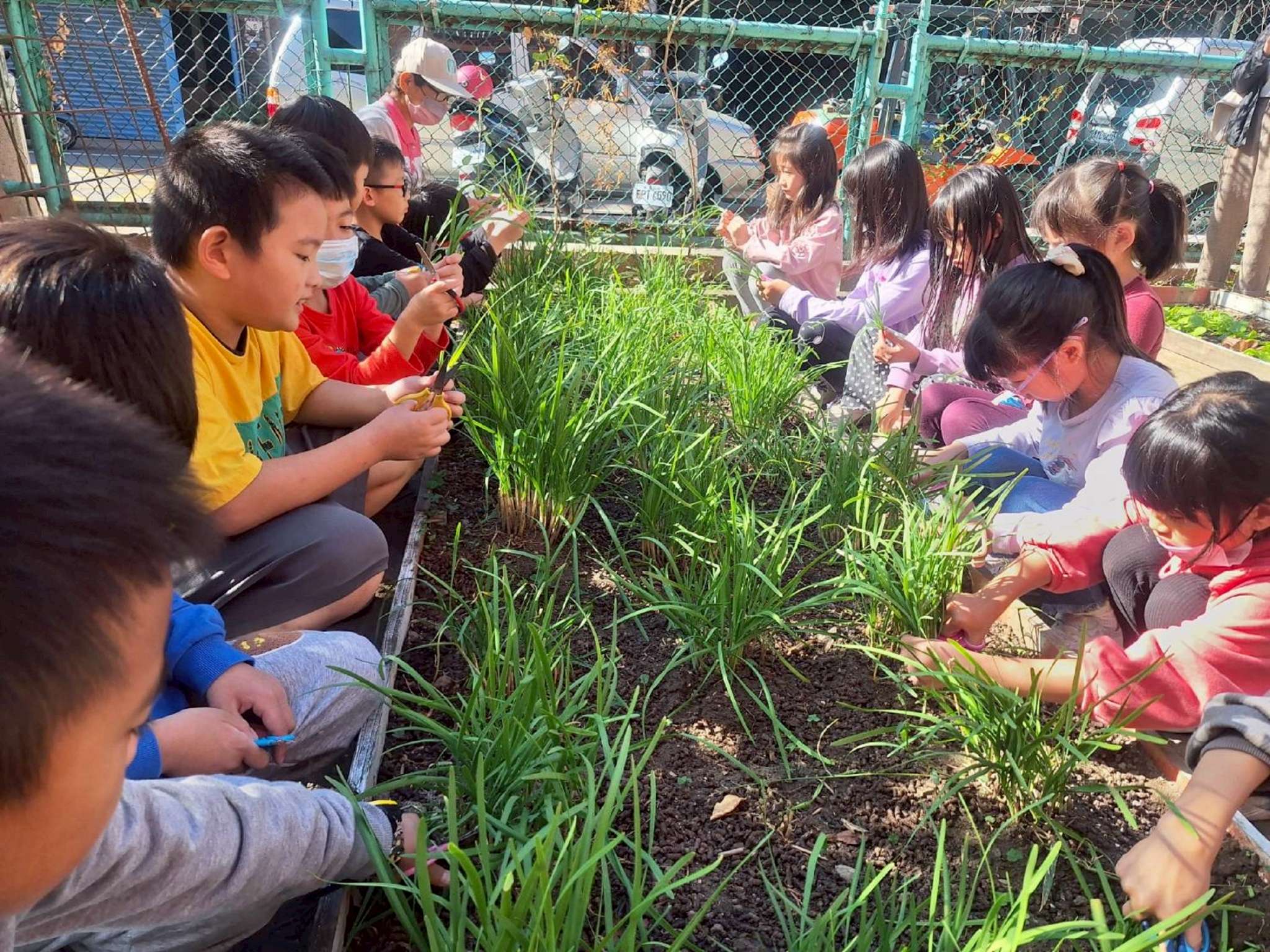 桃園市府持續升級免費營養午餐 多管齊下守護學子飲食安全 12346684 2