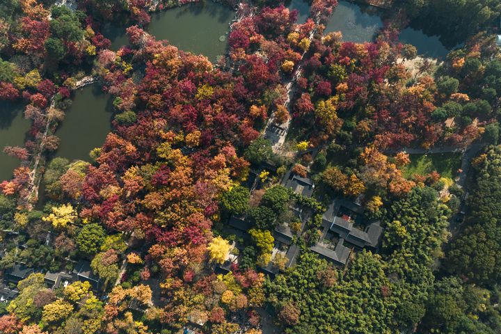 美麗中華神州遊 走進紅葉秘境 邂逅金秋「楓」光