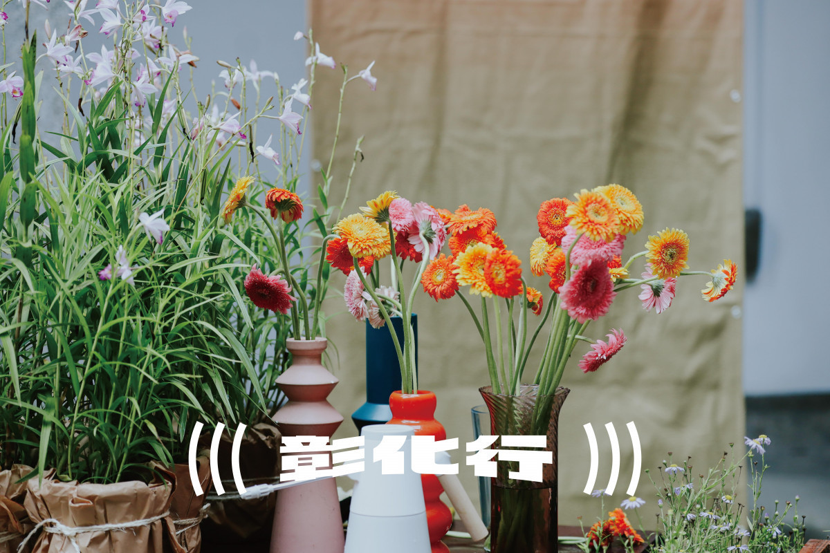 2025台灣設計展在彰化-形象影片- 植物部。圖/記者鄧富珍翻攝