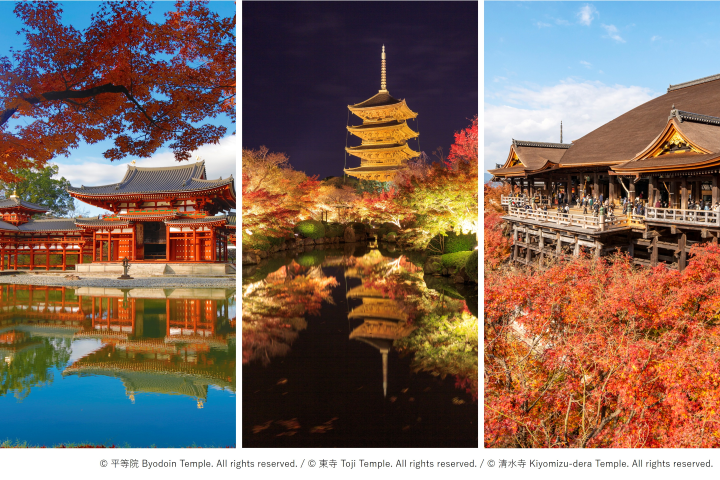 京都三大世界遺產,平等院、東寺、清水寺。 圖:HOTEL THE MITSUI KYOTO/提供
