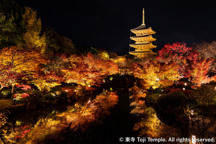 京都秋季限定奢華體驗!世界遺產私人導覽40萬日圓「一日一組」
