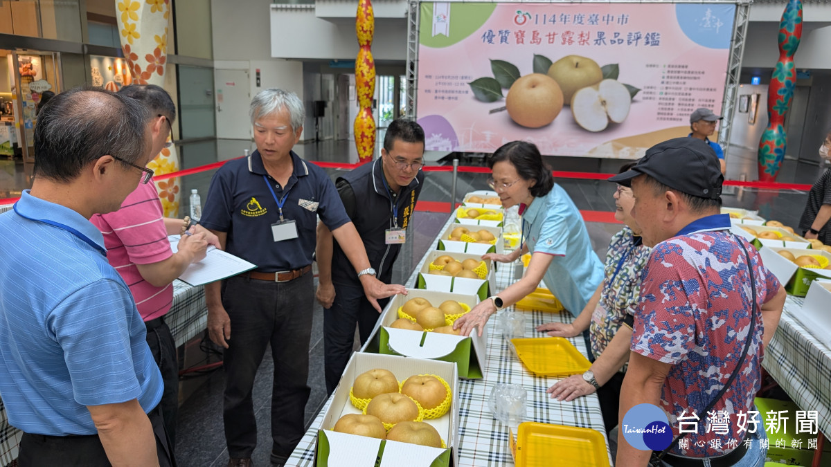 評審委員仔細品評