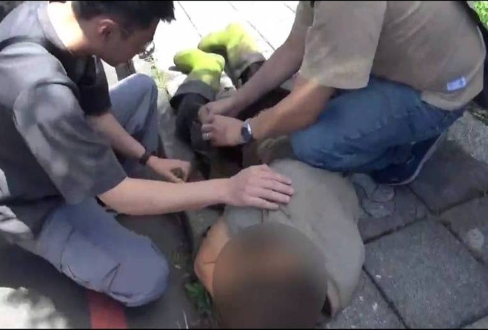 抓到「山老鼠」了 桃園警跨縣市追緝盜伐集團全落網 237 248250830a03