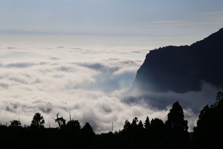 二萬坪雲海。 圖:阿里山賓館/提供