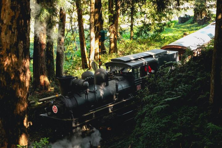 10月連假不無聊 阿里山5個經典車站美景、咖啡廳景點一次暢遊