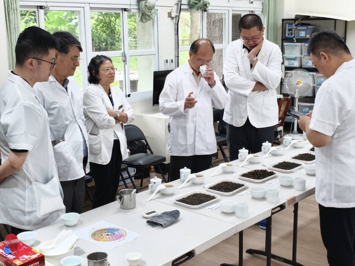 ▲農業部茶及飲料作物改良場及茶商公會全國聯合會擔任評鑑委員。(記者 李堂安 翻攝)
