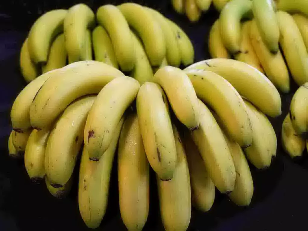 嘉義香蕉