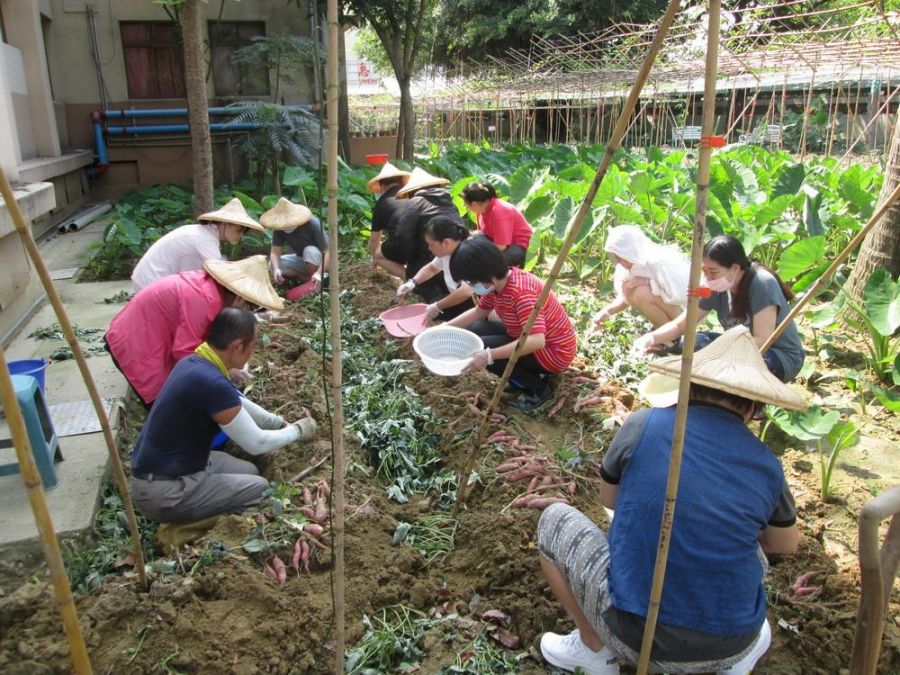 嘉榮精神日間病房園藝治療 助病友開出希望之芽