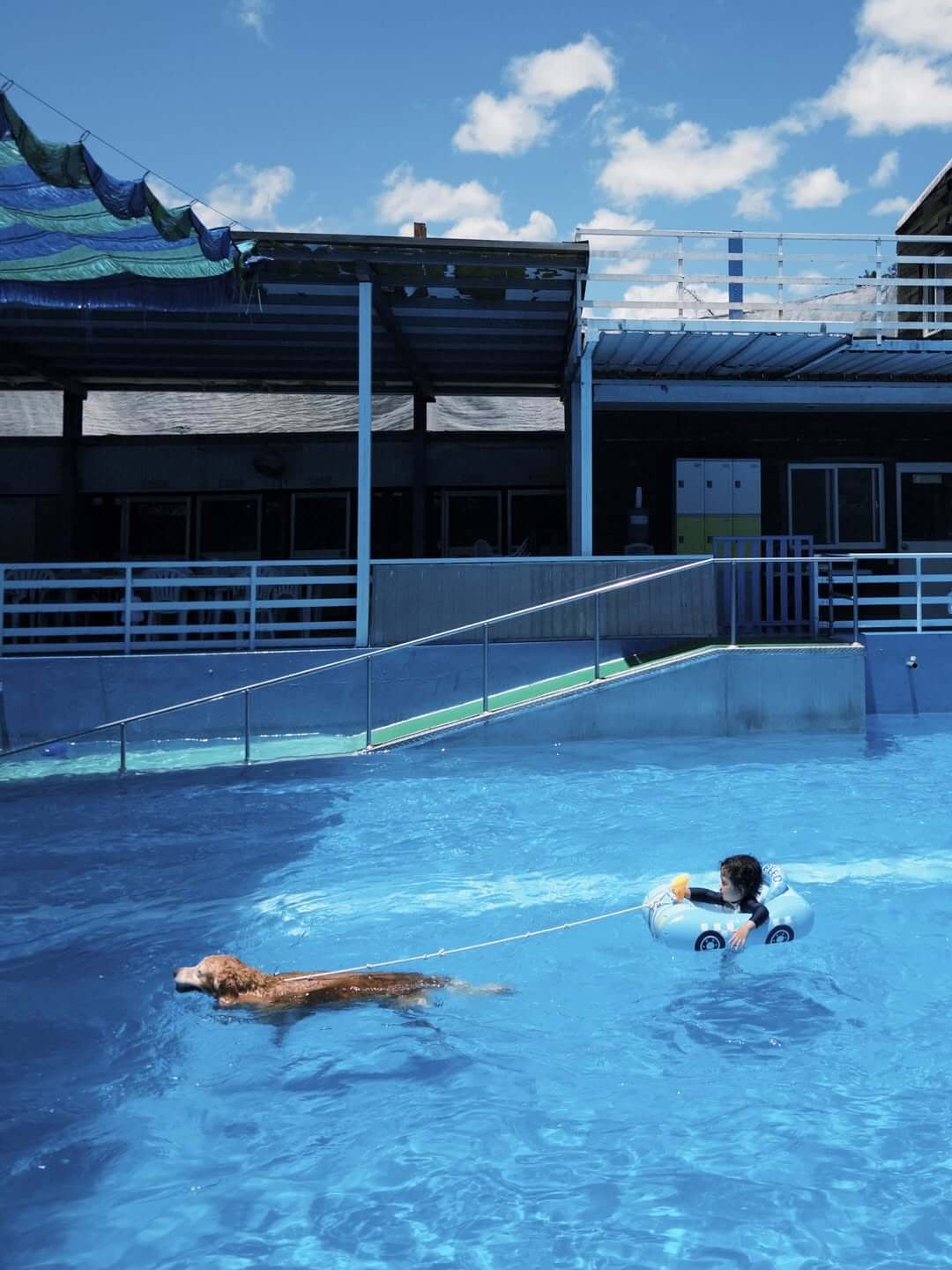 寵物泳池推薦 #1 Gooddog 妙狗 寵物游泳池