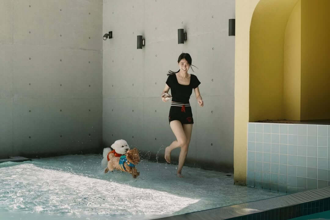 寵物泳池推薦 Dogether Hotel 多野樂旅館