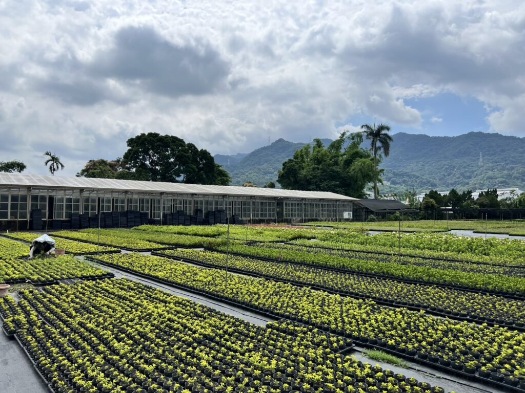 新北景觀處不藏私 分享園藝植栽養護小撇步