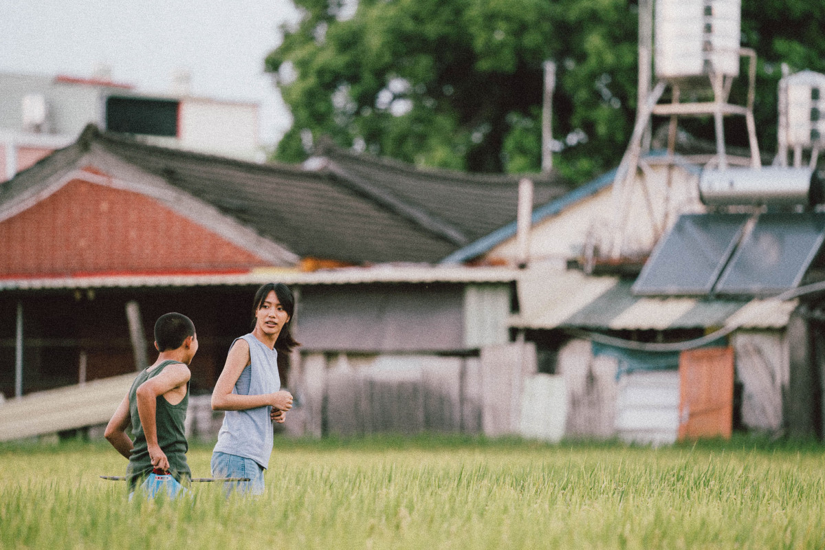 彰化社頭田園景緻展現農村人文與自然景觀的獨特魅力。
