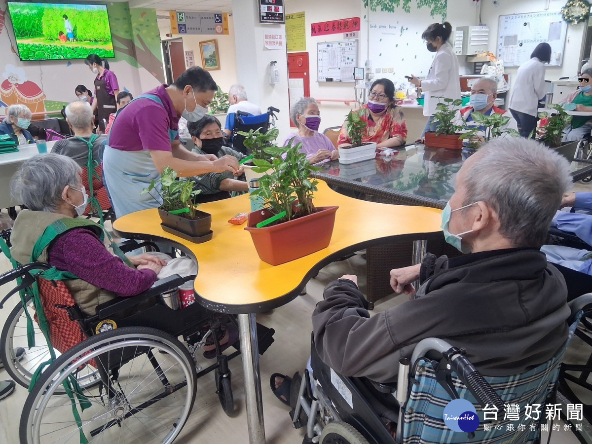 長輩在工作人員的協助下，完成專屬合果芋盆栽，感受綠意療癒