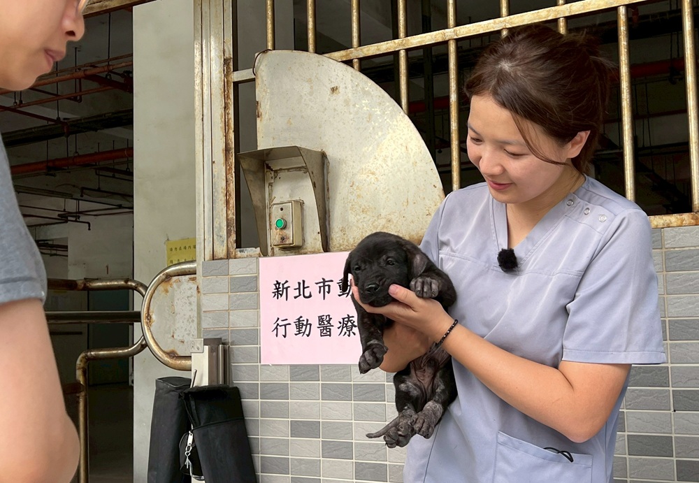 新北動物行動醫療站 守護偏鄉逾6000隻毛寶貝 227 cnews204250904a07