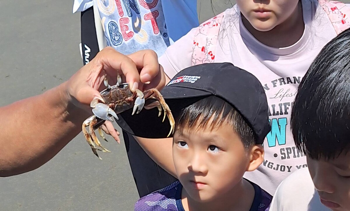 ▲透過實際走訪苑裡海岸邊,實地授課讓大小朋友一起學習海洋生態文化。(記者 陳維鈞/翻攝)