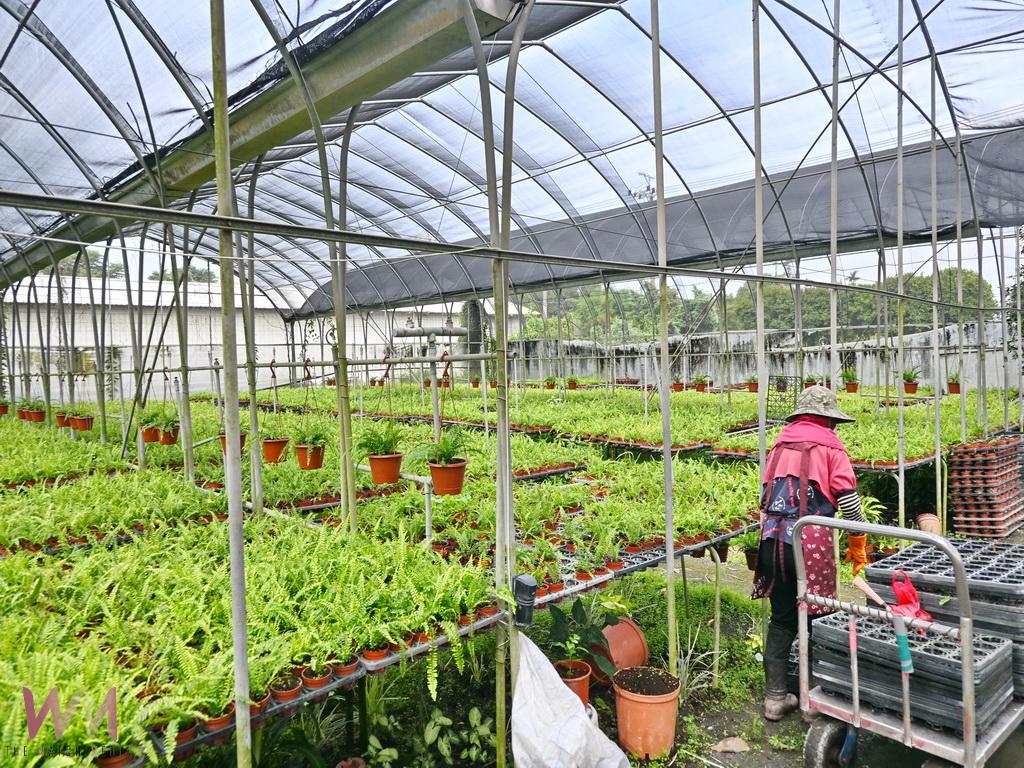 師大數學系高材生願當作田郎 百大青農周家宏打造園藝產觀學新天地