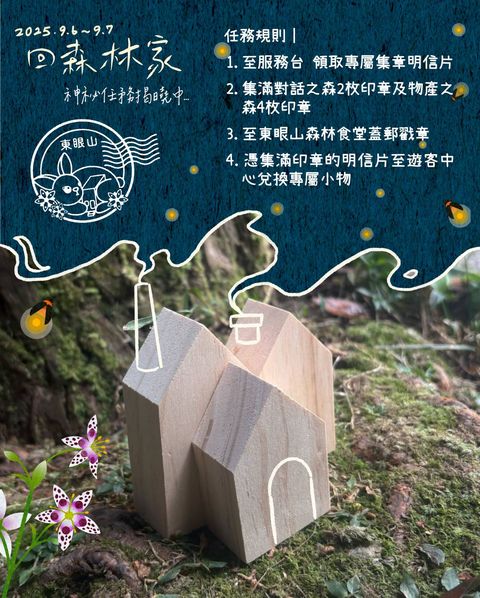 東眼山「回森林家」週末開幕 森感生活ｘ療癒市集的舒心之旅
