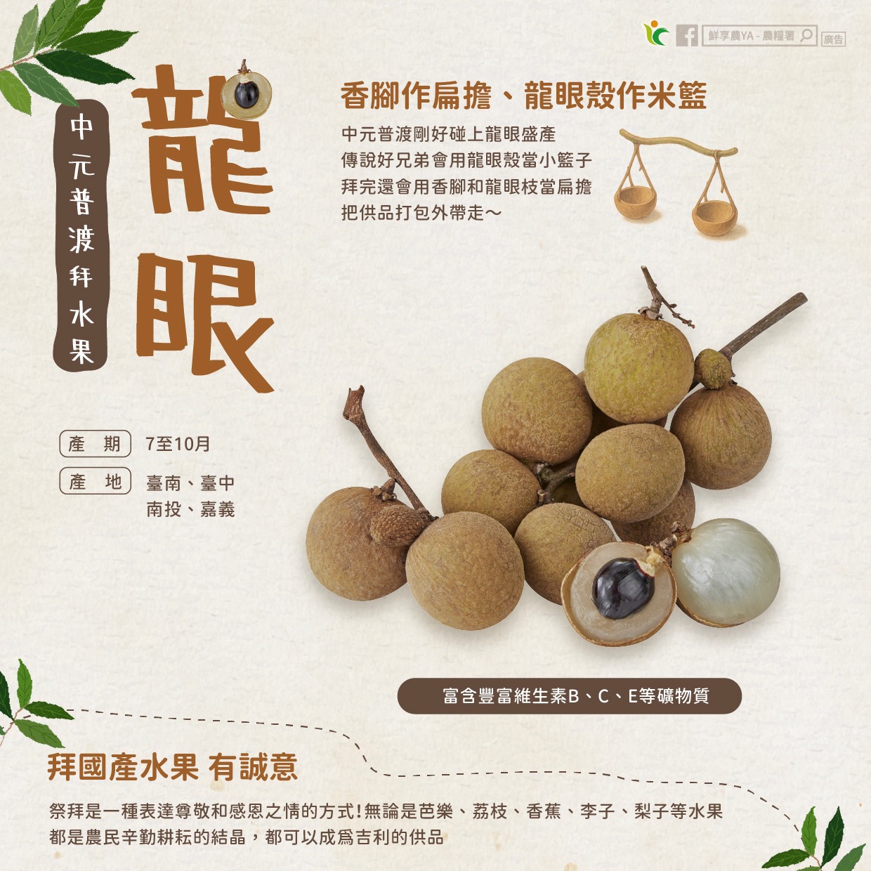 龍眼這樣挑才新鮮!農糧署教你4關鍵 518321949 1054753753469921 6078154448064658474 n