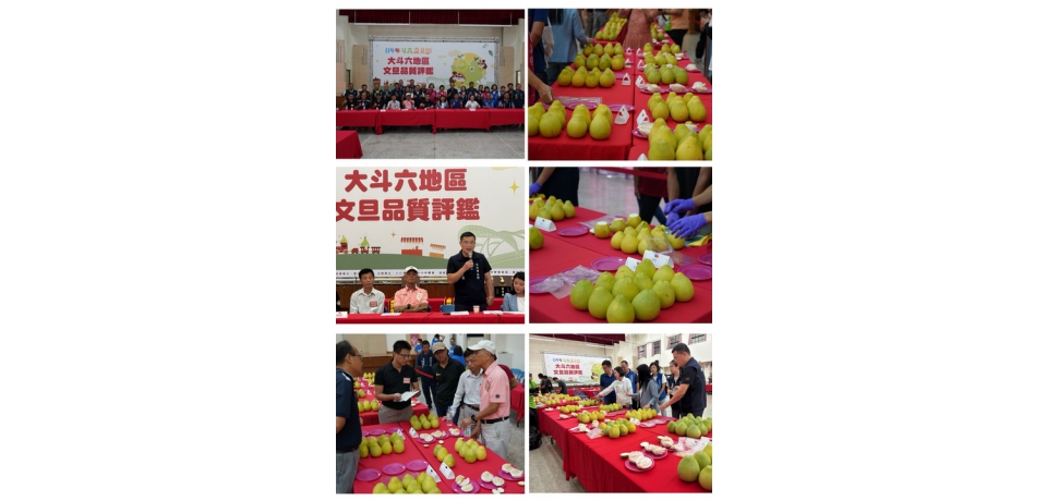 斗六市公所舉辦大斗六地區文旦品質評鑑