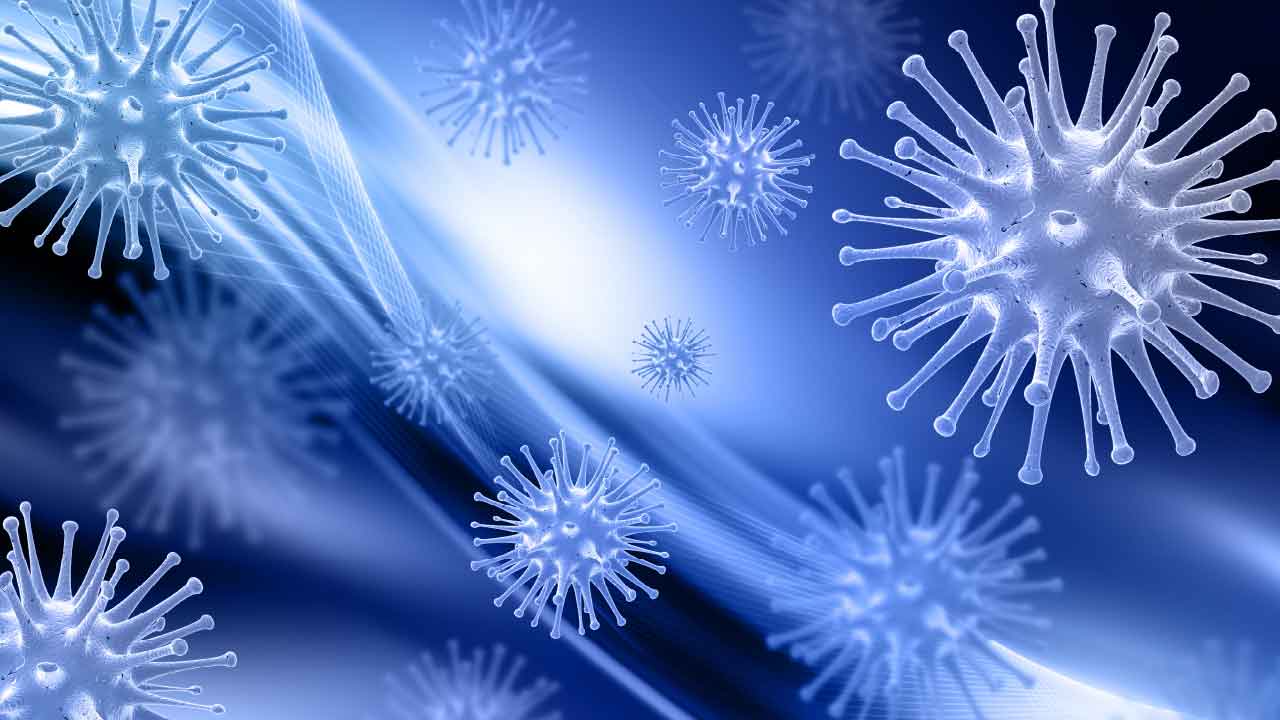 致死率75%!南韓緊急列「立百病毒」為一級傳染病