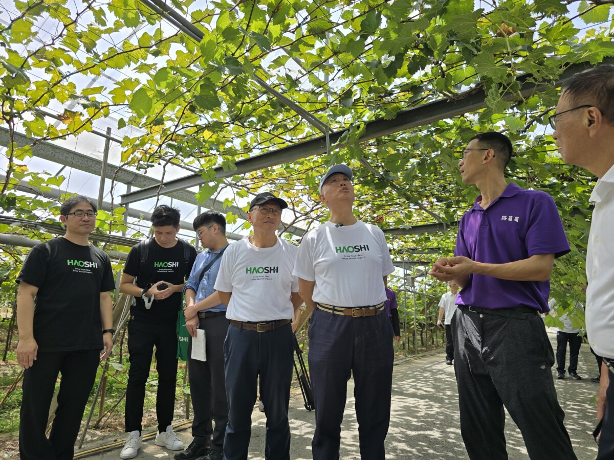 ▲魏應充走訪埔心的「路葡萄莊園」400公尺葡萄藤隧道,訪視聽取青年創業者的需求及分享經驗。(記者廖美雅拍攝)