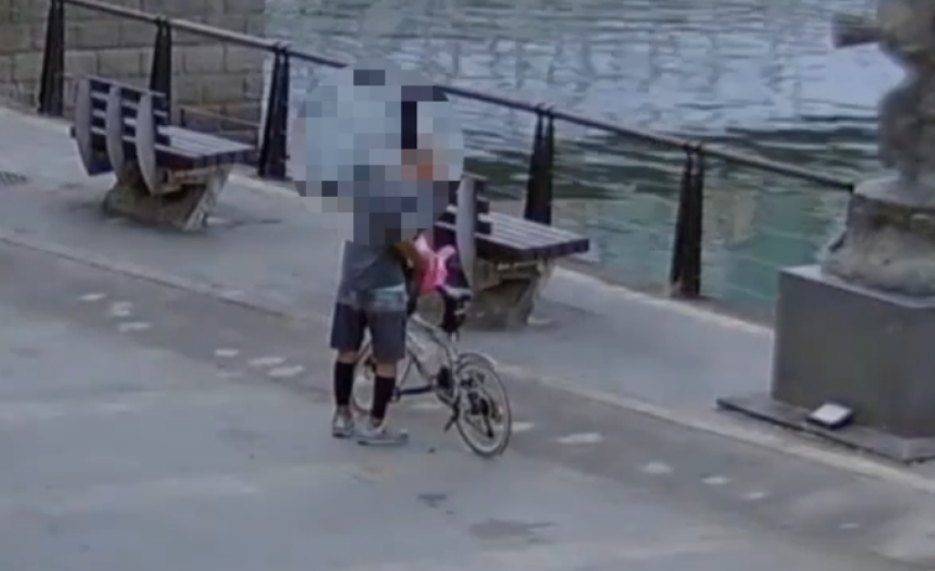 又是他!淡水街友虐殺浪又虐貓 警方拘提到案移送遭羈押