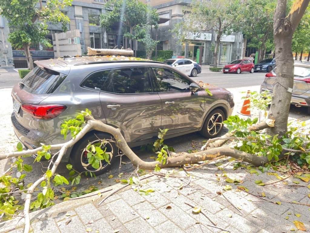 台中迪卡儂旁路樹倒塌壓車!- 業者願賠車主損失雙方和解