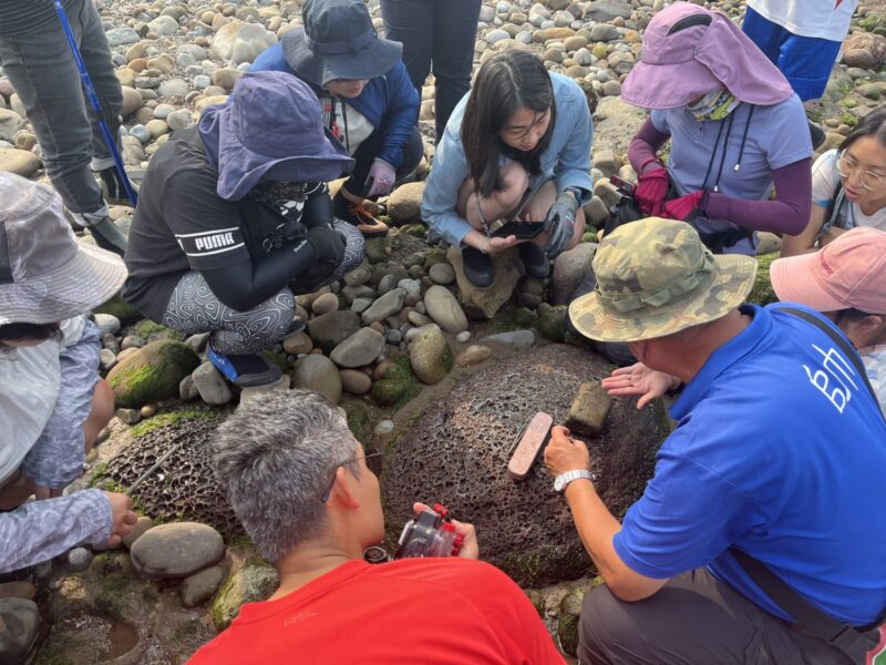 集結地方力量 守護台灣海洋！115年海洋保育署在地守護計畫徵件開跑