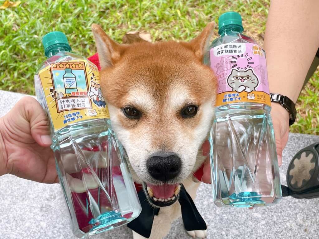 ▲台塩海洋鹼性離子水攜手柴語錄推出限量聯名瓶,讓你喝水就能補「柴」氣!
