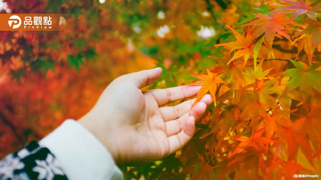 要轉涼了!入秋首波東北季風報到 降溫幅度看這
