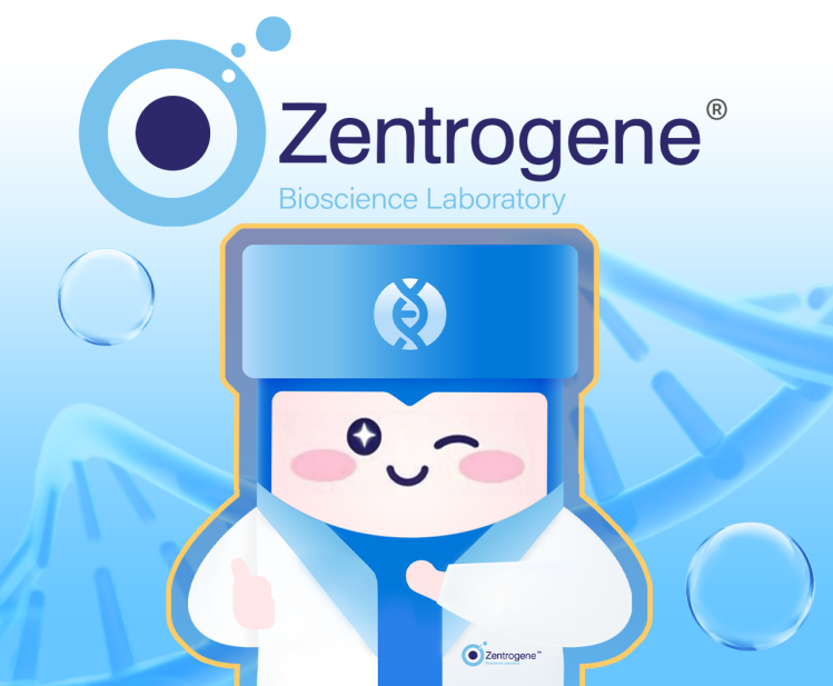 胎兒DNA檢測革命性突破：香港Zentrogene攻克雙胎精准性別鑒定難題