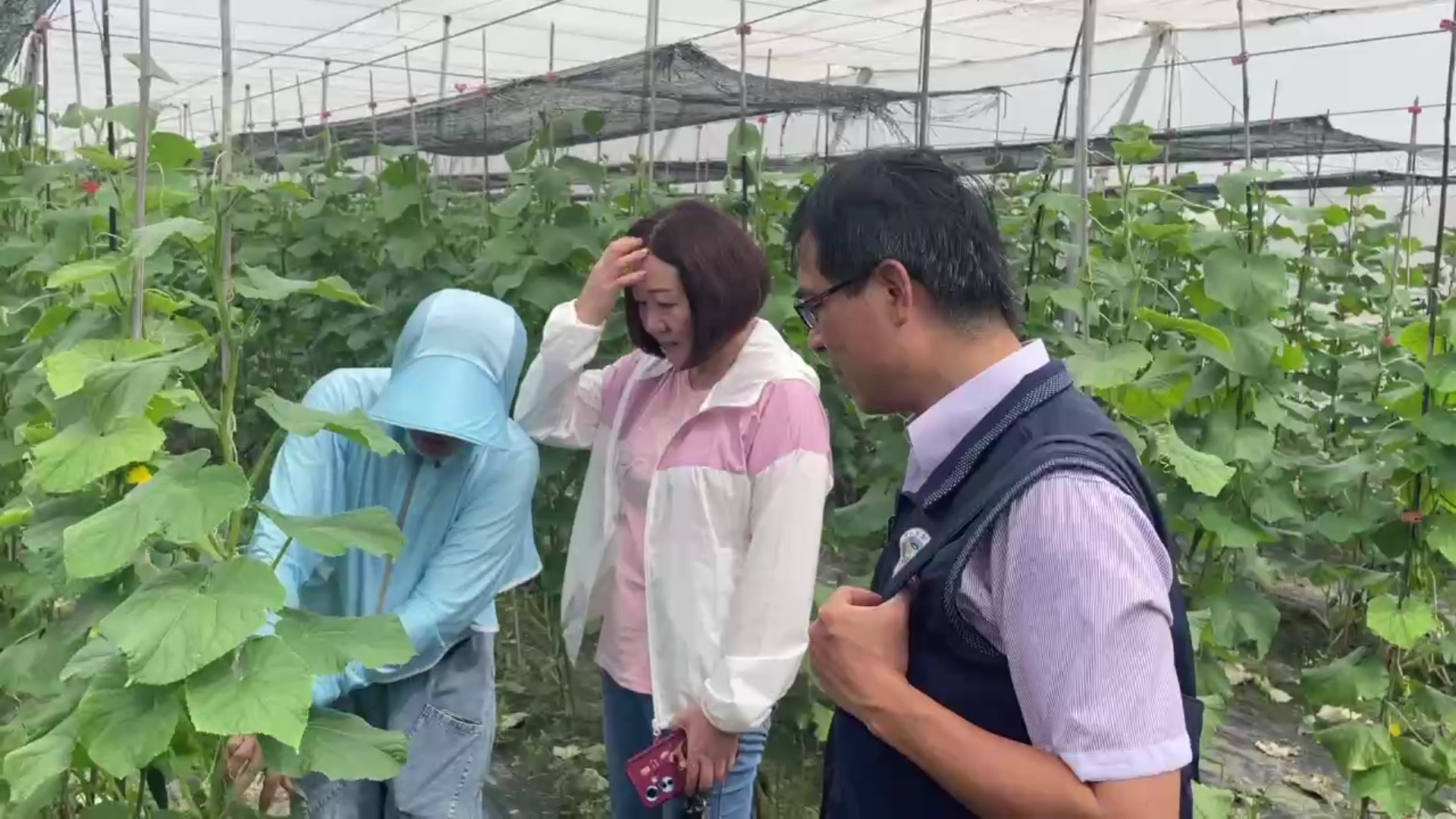 (有影片)/小黃瓜棚裡的築夢人生 福建新住民在大城落地生根的故事 - https://www.watchmedia01.com