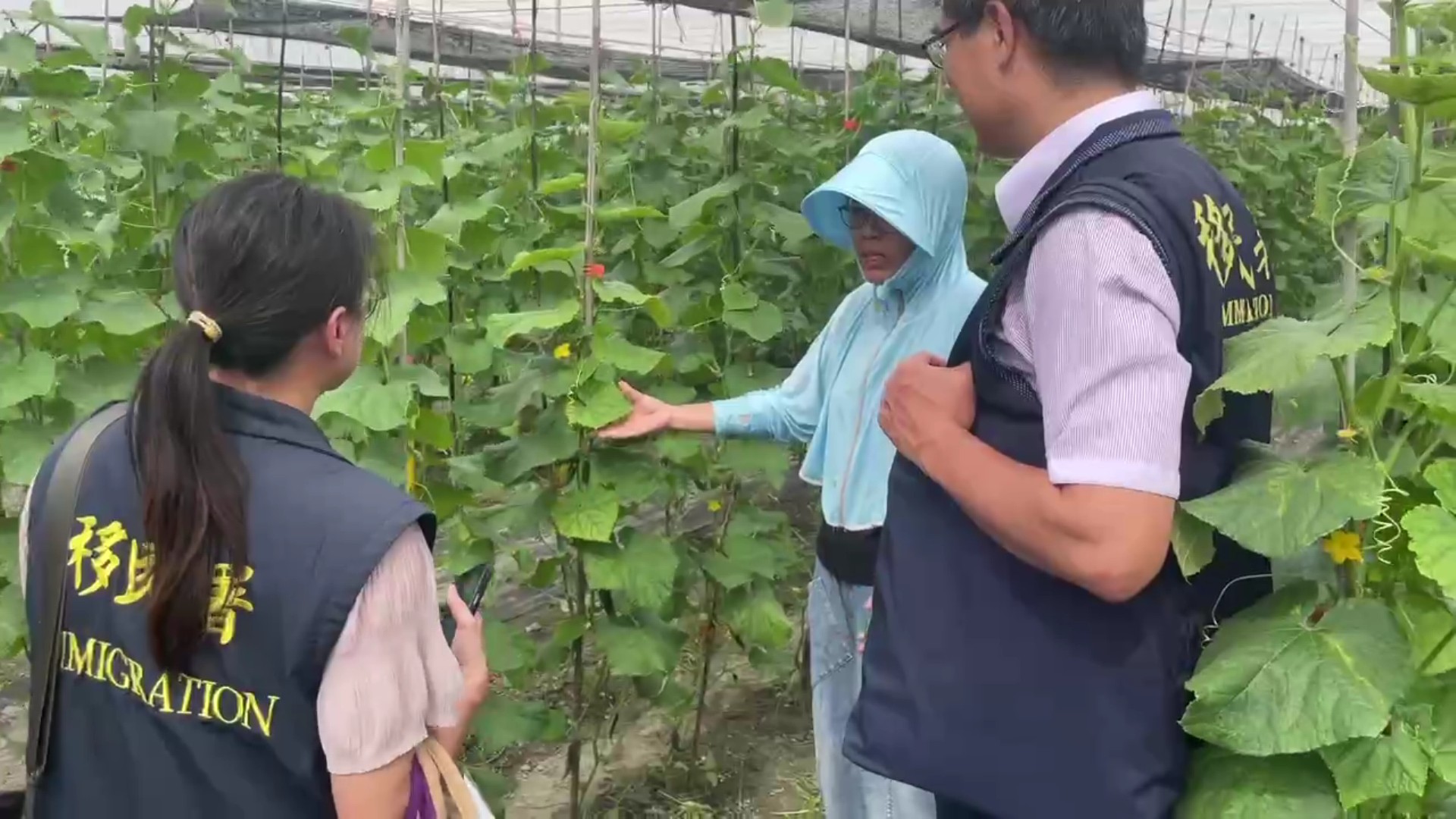 (有影片)/小黃瓜棚裡的築夢人生 福建新住民在大城落地生根的故事 - https://www.watchmedia01.com