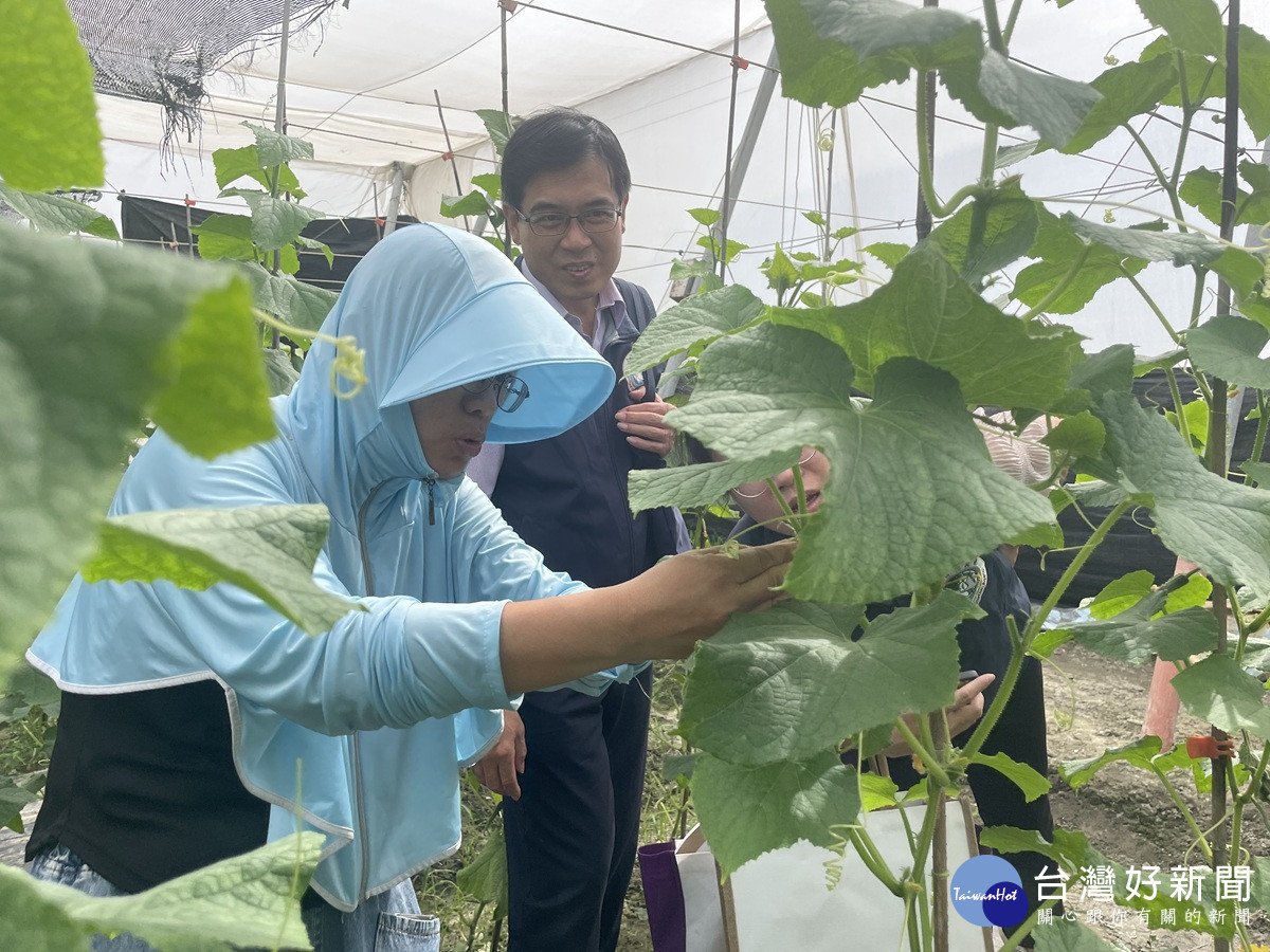 風吹不倒的希望 新住民種出人生的快樂農場