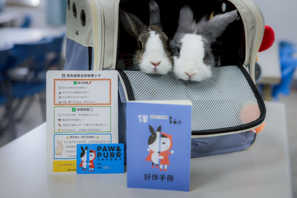 ▲萌兔當小助教,高雄動保處「好伴兔兔講座」人氣爆棚。