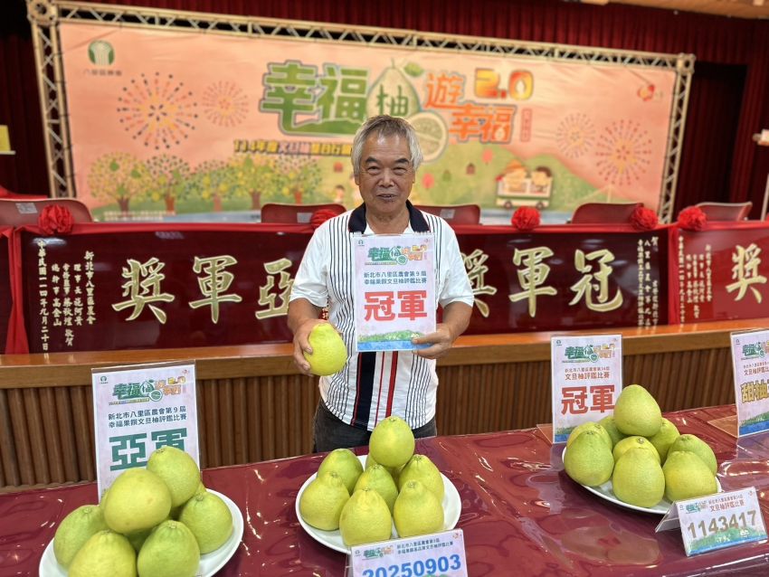 八里文旦柚評鑑揭曉 李進成 、李春益分別奪冠 2 《圖說》幸福果饌冠軍-李春益。〈農業局提供〉