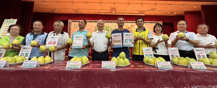 八里文旦柚評鑑揭曉 李進成 、李春益分別奪冠 3 《圖說》八里文旦柚評鑑結果揭曉。〈農業局提供〉