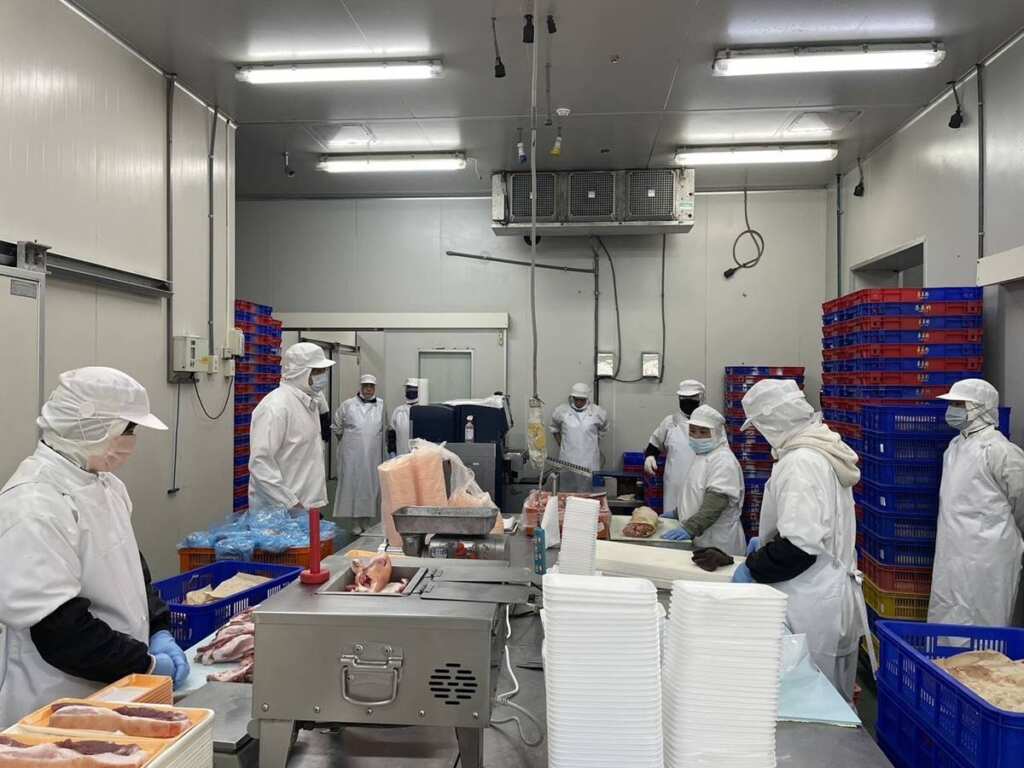 ▲光豐地區農會作為地方重要的畜產供應體系，花蓮縣政府攜手光豐農會推動「畜產加值－精質豬肉供應鏈優化計畫」，將於115年度預算編列畜產加值計劃經費，期望帶動產業鏈升級，守護消費者的食品安全。