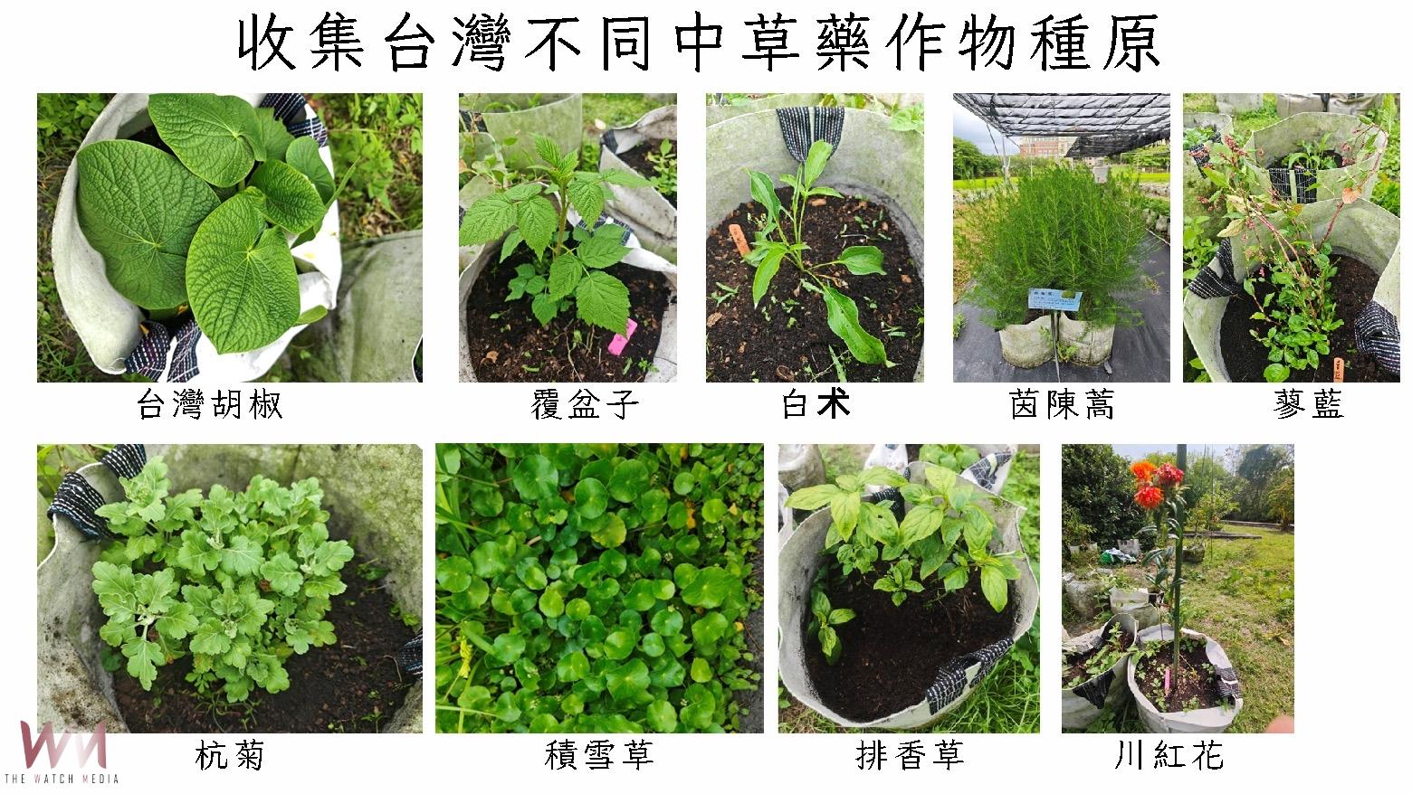 嘉大團隊推動臺灣食農產業轉型升級 實現社會責任與產業貢獻 - https://www.watchmedia01.com