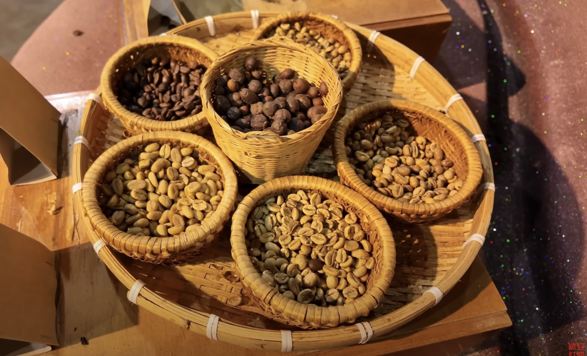 走進越南世界咖啡博物館 體驗咖啡豆的歷史
