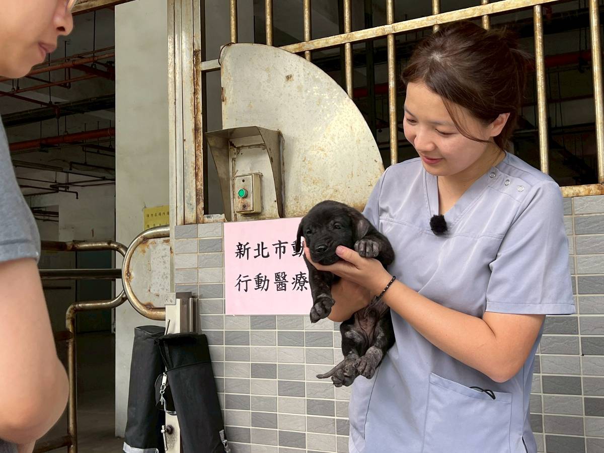 新北偏鄉推動物行動醫療 守護毛寶貝健康