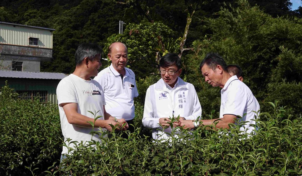 坪林茶師勇奪全國冠軍！　包種茶再為新北爭光