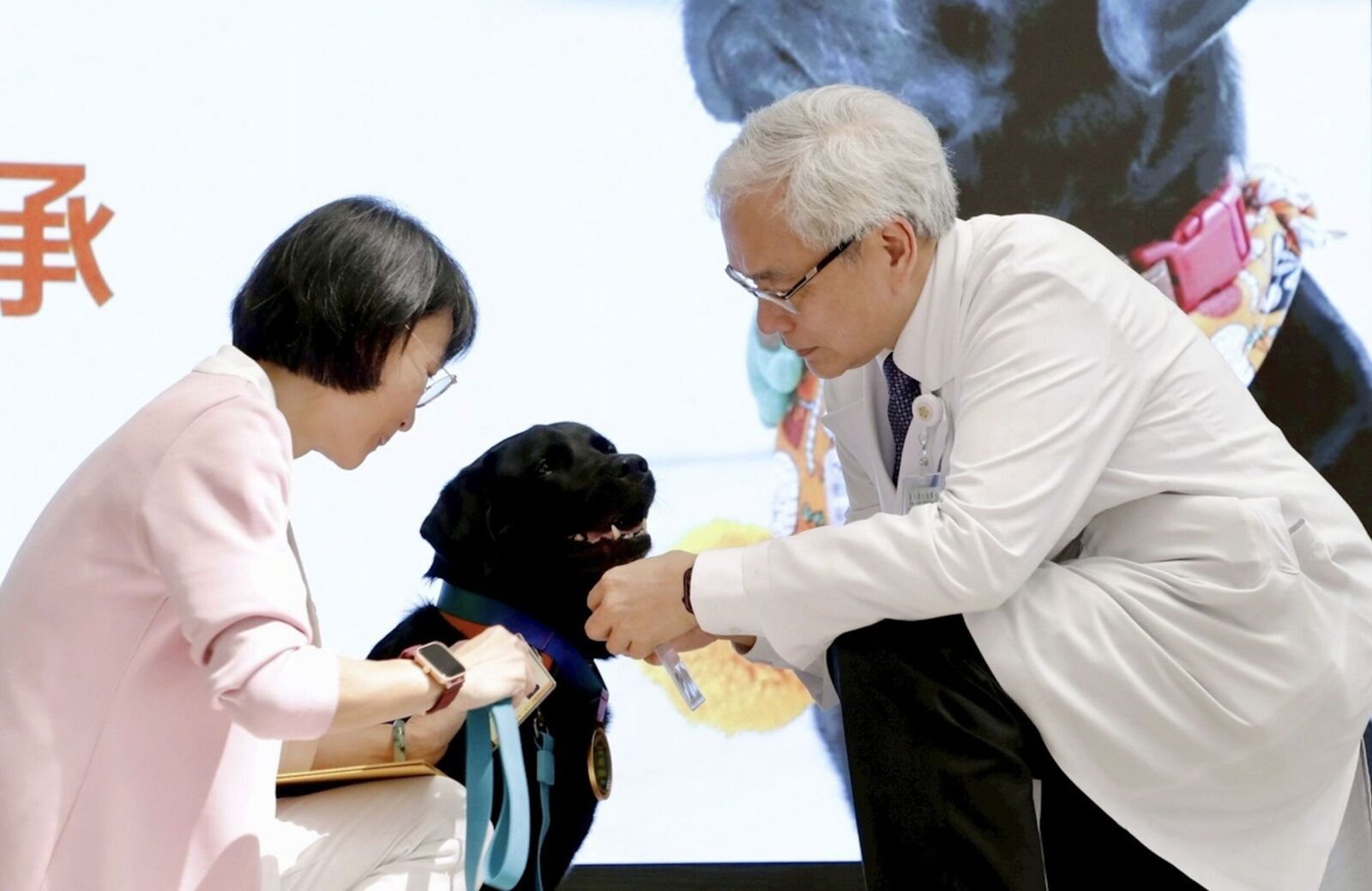 全台第一隻醫療犬「歐巴」退休!安寧病房最暖送行者 北榮百人歡送 210 全台第一隻醫療犬「歐巴」退休!安寧病房最暖送行者 北榮百人歡送 209