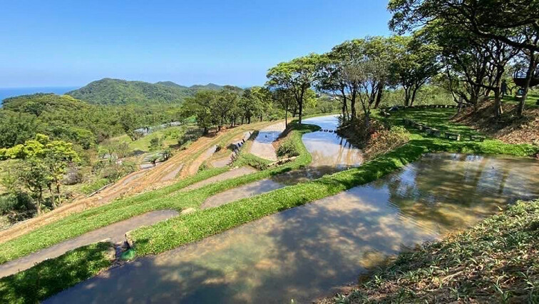 ▲貢寮區雞母嶺水梯田環境改善後獲得2025建築園冶獎肯定。