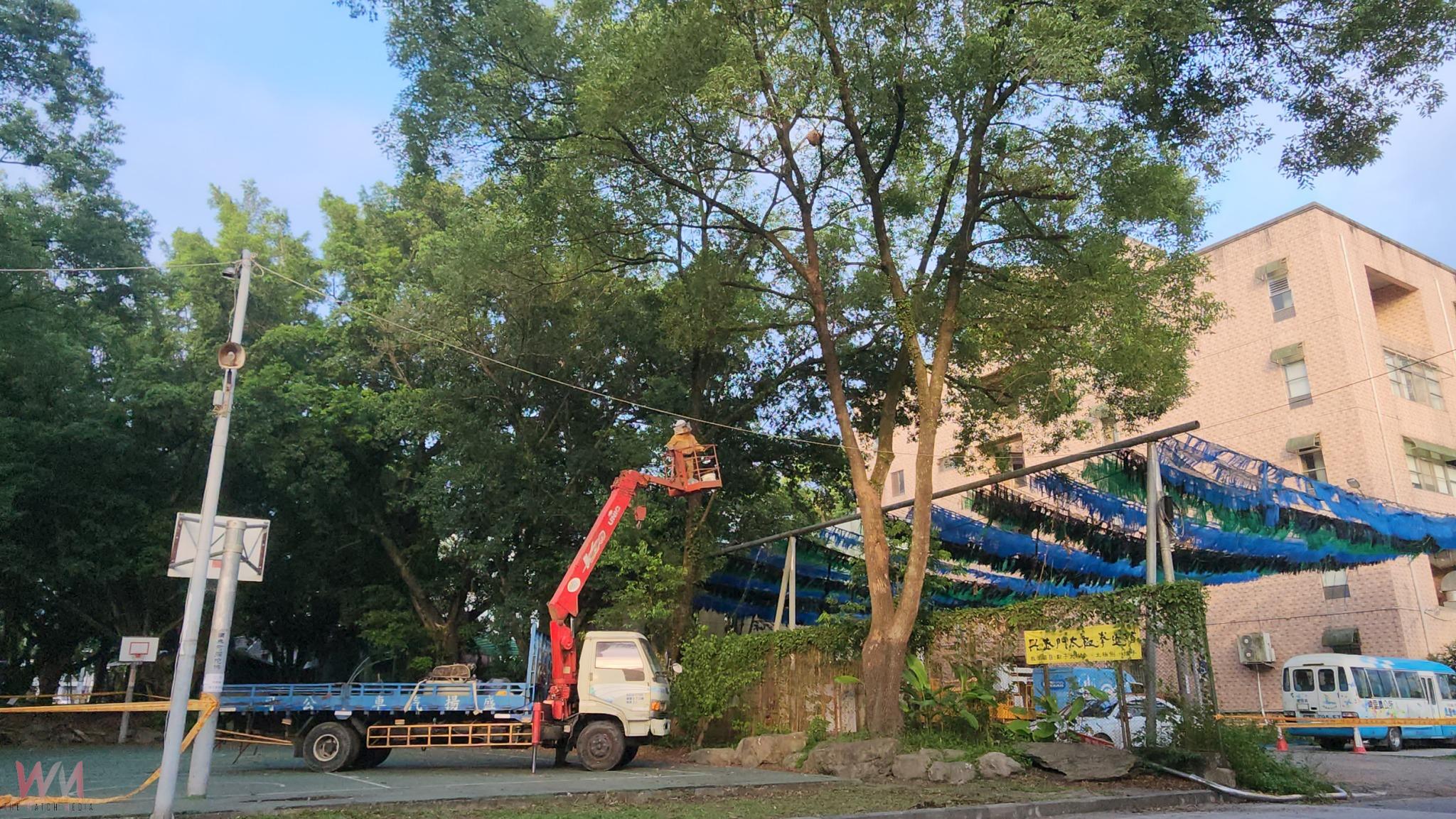 超凶黑腹虎頭蜂築巢,埔里籃球場緊急封閉摘除,維護民眾安全 - https://www.watchmedia01.com